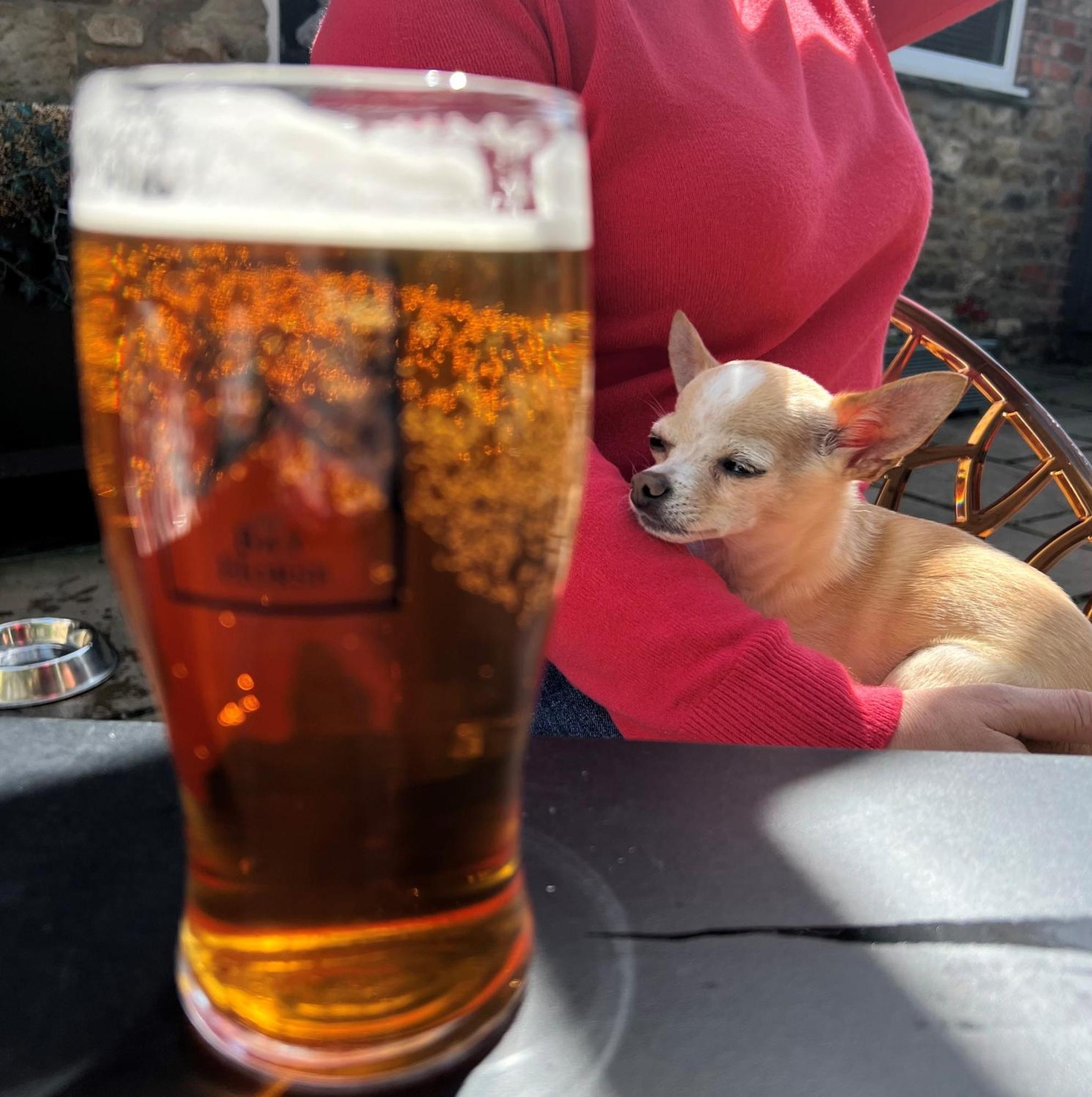 The Bay Horse, Masham Hotel Bagian luar foto